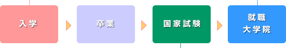 入学→卒業→国家試験→就職・大学院